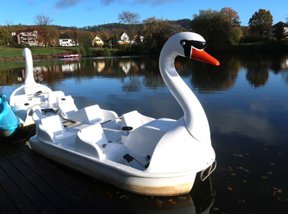 Schwan auf dem Charlottensee in Bad Iburg