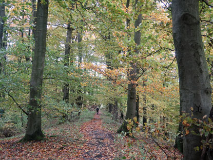 Hermannsweg navh der Noller Schlucht