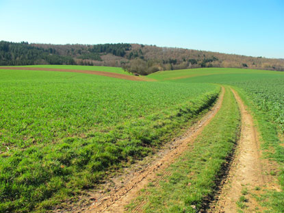 "Kleiner Odenwald" wird die Landschaft sdlich des Neckars bezeichnet. Groe  landwirtschaftlich genutzte Hochflchen dominieren