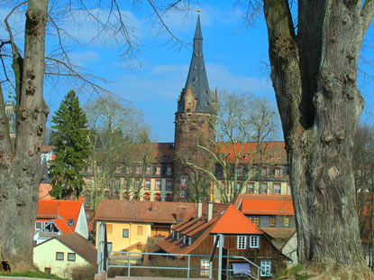 Gegenber vom Bahnhof in Erbach blickt man auf die Rckseite des Schlosses.