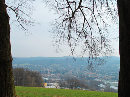 Von der  Sophien-Hhe blickt man auf Michelstadt 