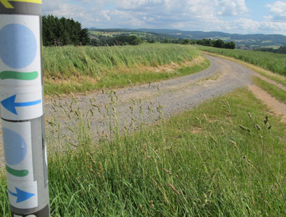 Der Hugenotten- und Waldenserpfad fhrt zwischen Beerfurth und Burg Rodenstein durch offenes Gelnde.