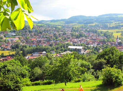 Blick vom Schloss Reichenberg auf Reichelsheim