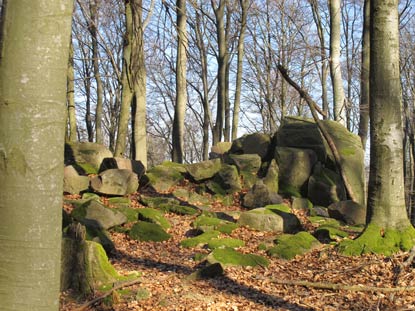 Rimdidim - 499 m hoher Berg nrdlich der Burg Rodenstein