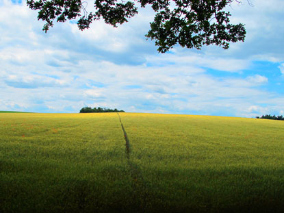 Blick ber die Hochflche in Richtung Darmstadt