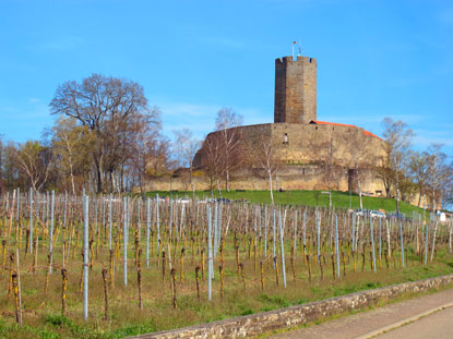 Da die Burg Steinsberg schon von Weiten zu sehen ist, wird sie Kompass des Kraichgaus genannt. Mit 333 Metern ist es die hchste Erhebung des Kraichgaus