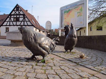 Am (neuen) Dorfbrunnen von Eichelberg mit seinen freilaufenden Hhnern. 