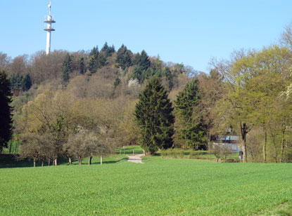 Der Hugenotten-Wanderweg fhrt unterhalb des Sinsheimer Fernmeldeturms (259 m) vorbei