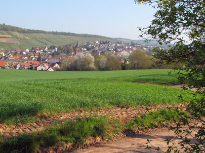 Der Wanderweg verluft durch den Weinort Tiefenbach - einen Ortsteil von stringen 