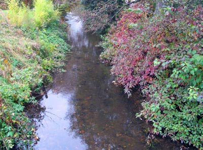 Wandern an der Lahn: Die Lahn bei Feudingen