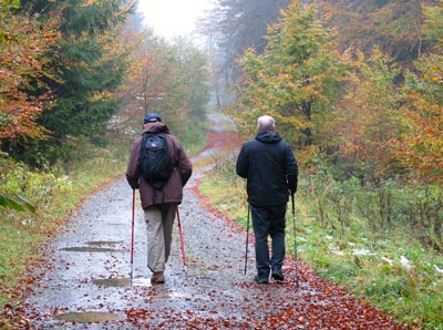 Der Lahnwanderweg verluft vom Lahnhof  bis Biedenkopf berwiegend auf breiten Forstwegen.