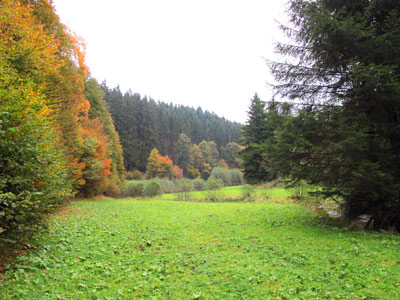  Der Lahnwanderweg verluft nur ein kurzes Stck durch das Ilsetal