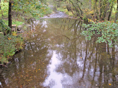 Lahnwanderweg: Die Lahn bei Wahlbachsmhle