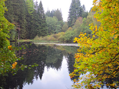 Wandern an der Lahn:  Weidelbacher Weiher
