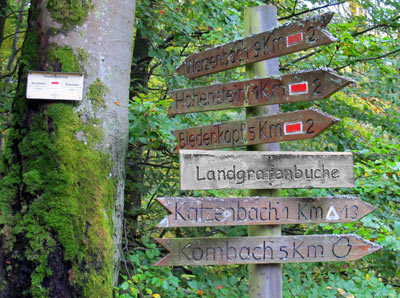 Wanderung an der Lahn: Landgrafenbuche bei Katzenbach