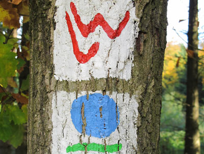 Unterhalb des Rimbergs trifft der Lahnwanderweg auf den Hugenotten- und  Waldenserpfad