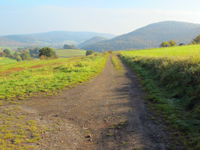 Auf dieser Etappe des Lahnwanderwegs wanderten wir oftmals durch eine "Offene Landschaft"