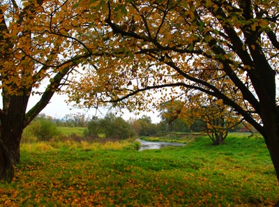 Wanderung Lahnwanderweg: Die Lahnaue bei Sterzhausen