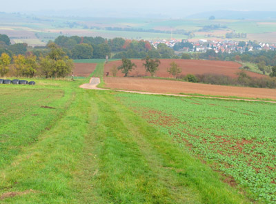 Wanderung entlang der Lahn: Blick ins Lahntal und auf den Ort Gofelden