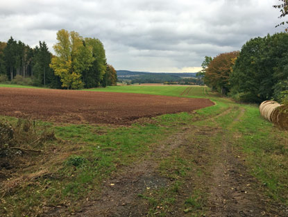 Hochflche vor Oberwalgern