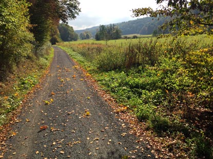 Der Lahnwanderweg entlang dem Tal der Salzbde