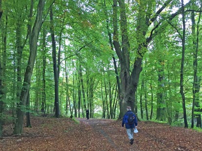 Lahnwanderweg: Auf dem Weg ins Tal dere Salzbde zum Ausflugslokal Schmelzmhle