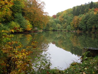 Lahnwanderweg passiert die Teiche der von dem Wissmarbach durchflossen werden