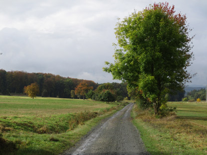 Lahnwanderweg. Ausscihtsrecihe Hochflche oberhalb von Laufdorf