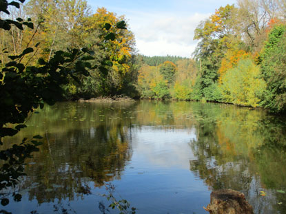 Der "Groe Weiher" bei Braunfels