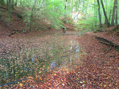 Der Lahnwanderweg geht entlang dem Silbersee