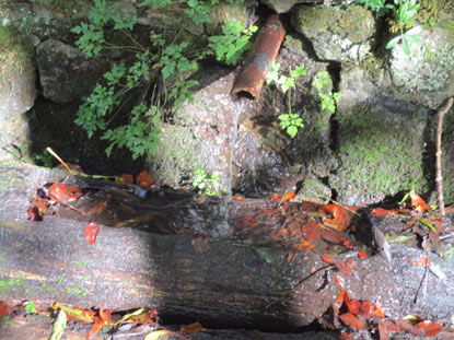 Der Brunnen Esche Brnchen