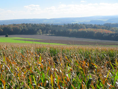 Lahnwanderweg Feldbergblick