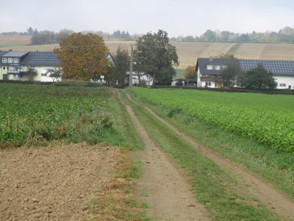 Der Lahnwanderweg fhrt mitten durch die Reitanlage Schanzlerhof