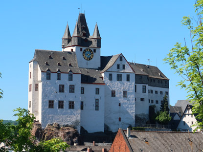 Blick auf das Grafenschloss