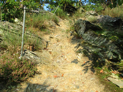 Lahnwanderweg: Klettersteig nach dem Goethepunkt 