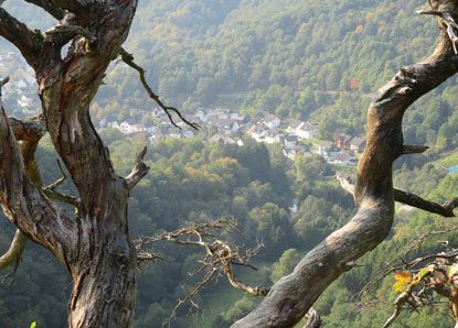 Blick vom Goethepunkt auf den Ort Weinhr