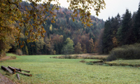 Aufsetal in der Nhe der Kuchenmhle