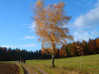 MD-Weg: Auf der Hhe vorAltdorf bei Nrnberg