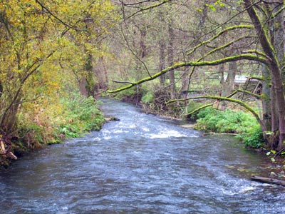 Der Main-Donau-Weg verluft lange Strecke im Tal der Schwarzen Laaber