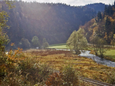 Main-Donau-Weg: Der Main-Donau-Weg fhrt ab der Behringsmhle entlang dem Flsschen Wiesent