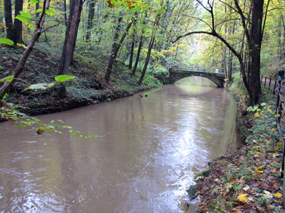 Der Malerweg verluft im Liebethaler Grund entlang der Wesenitz