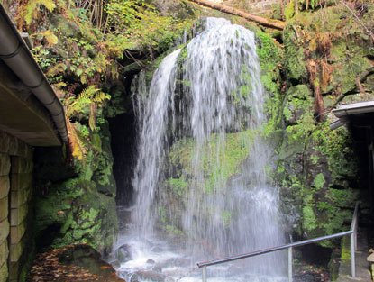 Der Amselfall. Nach Zahlen eines kleinen Betrags strzt das zuvor gestaute Wasser 10 m in die Tiefe.