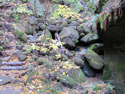 An mehreren Stellen ist der Malerweg durch die Dorfbachklamm wegen  Aussplungen schwierig zu begehen.