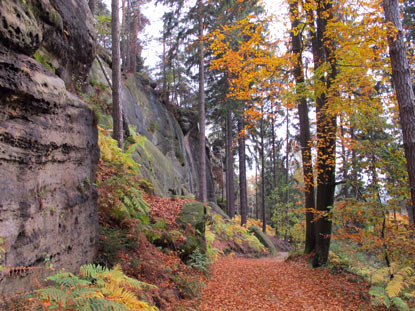 Sandsteinfelsen auf dem Malerweg zwischen Waitzdorf und Kohlmhle