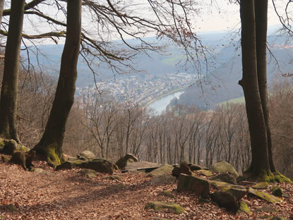 Unmittelbar am Goetheblick beim Ort Darsberg: Der Goetheblick