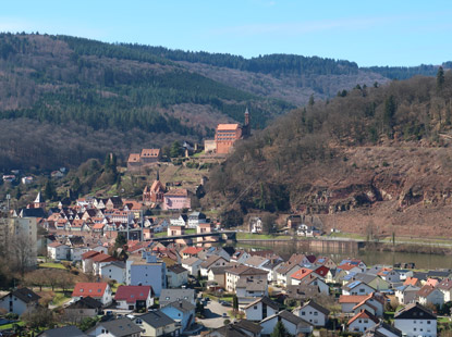 Blick auf den Ort Hirchhorn. Im Hintergrund Burg Hirschhorn und Karmeliterkloster