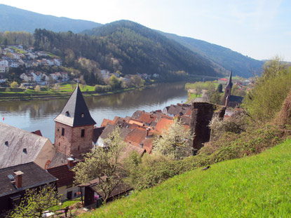 Blick vom Aufgang zum Schloss auf die Altstadt von Hirschhorn