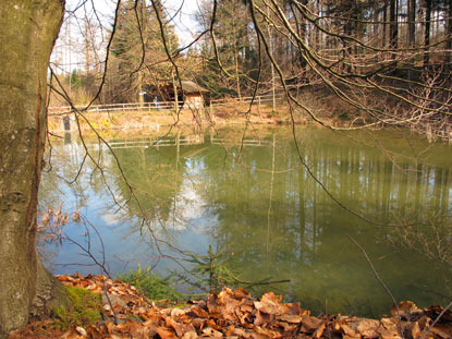 Reihersee bei Neunkirchen mit Schutzhtte (366 m). Als Nahrungsteich fr Graureiher angelegt.