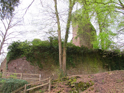 Die staufische Reichsburg Stolzeneck von 1235 thront 80 m ber dem Neckar.