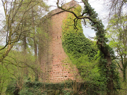 Die strkste Befestigung (Schildmauer) hatte die Burg Stolzeneck auf der Bergseite. Die Schildmauer ist begehbar.